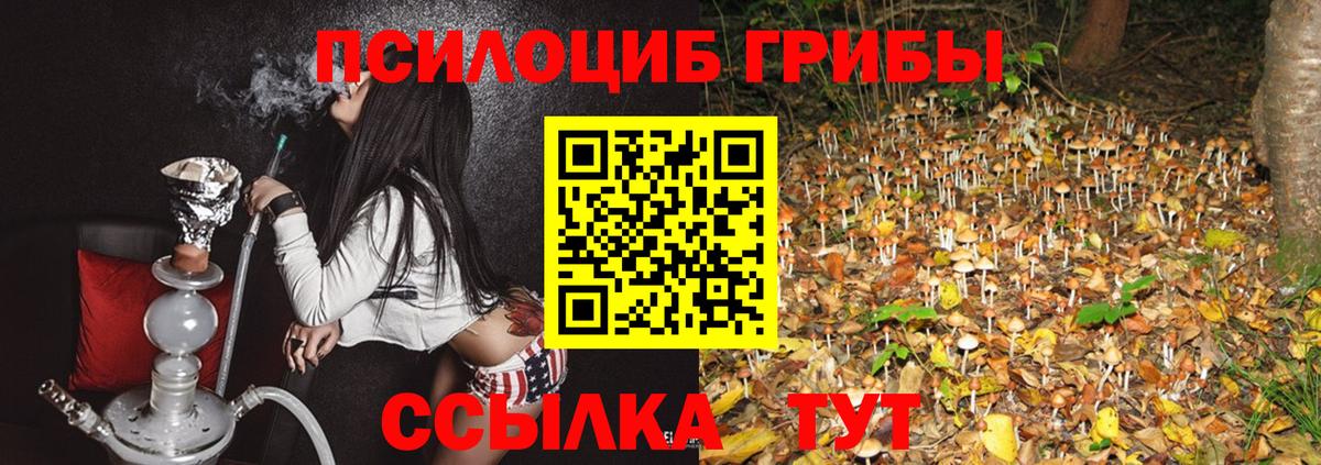 Галлюциногенные грибы Magic Shrooms Черняховск